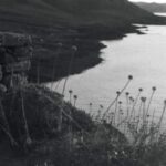 Profile photo of manu_udabe@hotmail.com