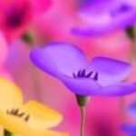 Profile photo of Nancy Yazmín